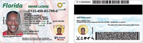 new florida drivers license