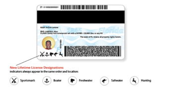 new florida drivers license new designation